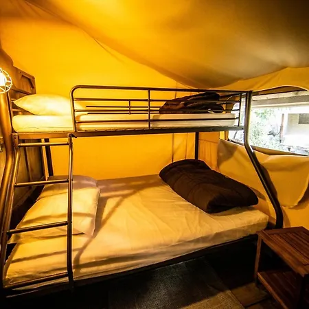 Olva *** Sartene (Corsica)