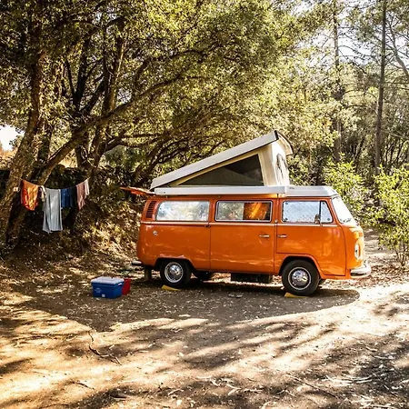 Olva *** Sartene (Corsica)