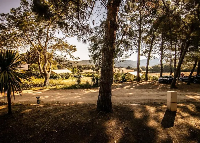 Olva *** אתר קמפינג