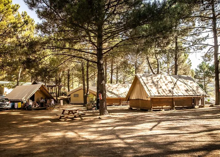 Olva *** אתר קמפינג