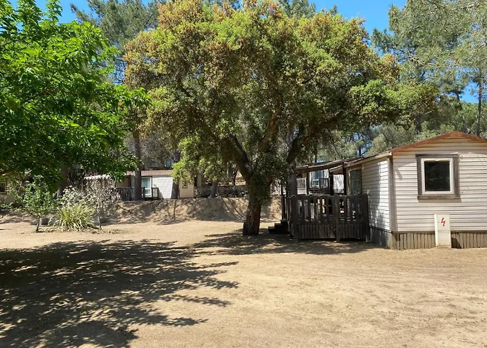 Olva *** אתר קמפינג Sartène