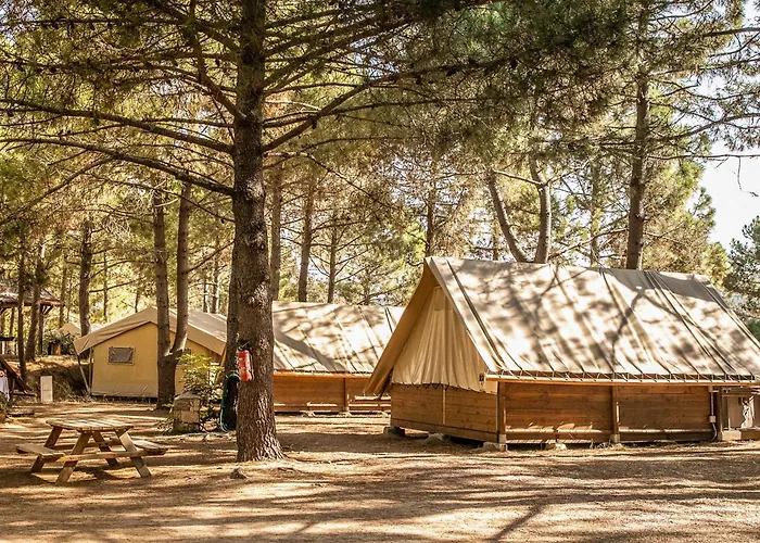 Olva *** אתר קמפינג *