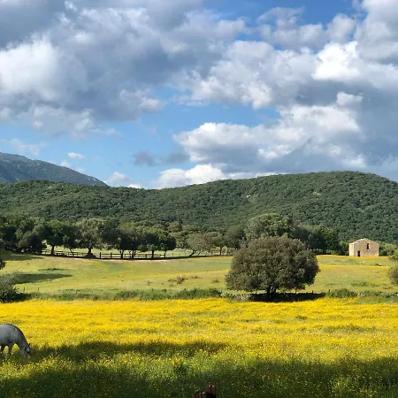 Olva *** * Sartène