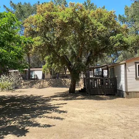 Olva *** Camping Sartène