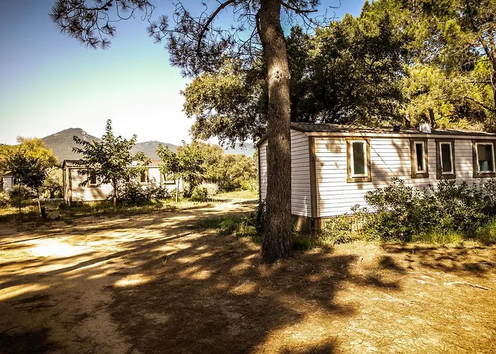 Olva *** Kamp alanı *