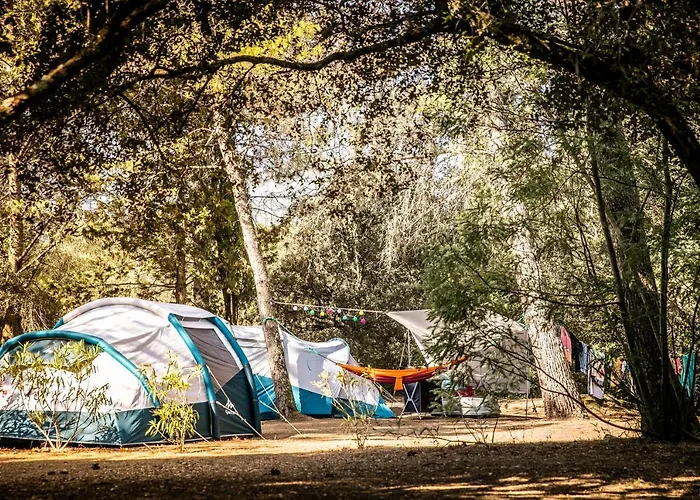 Kamp alanı Olva ***